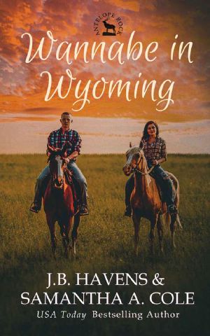 Wannabe in Wyoming (Antelope Rock Book 1)