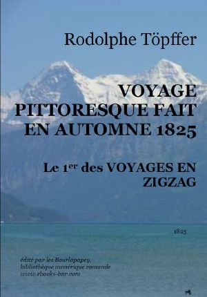 VOYAGES EN ZIGZAG 1