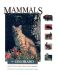 Mammals of Colorado