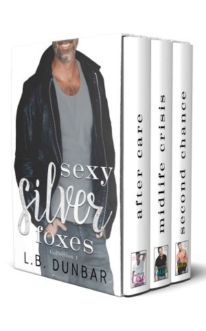 Sexy Silver Loves · Box Set