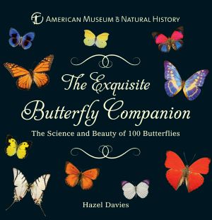 The Exquisite Butterfly Companion