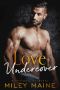 Love Undercover · A Romantic Suspense (Sinful Temptation Book 2)