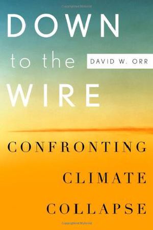 Down to the Wire · Confronting Climate Collapse