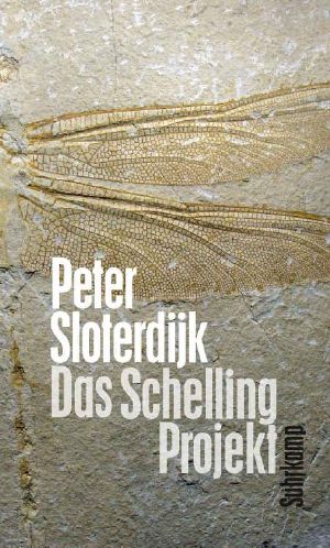 Das Schelling-Projekt