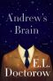 Andrew's Brain · A Novel