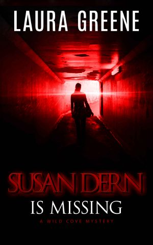 Susan Dern Is Missing (A Wild Cove Mystery Book 1)