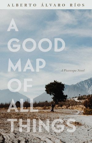 A Good Map of All Things, A Picaresque Novel