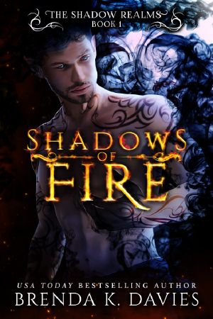 Shadows of Fire (The Shadow Realms, Book 1)