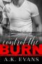 Control the Burn (Hearts & Horsepower Book 1)