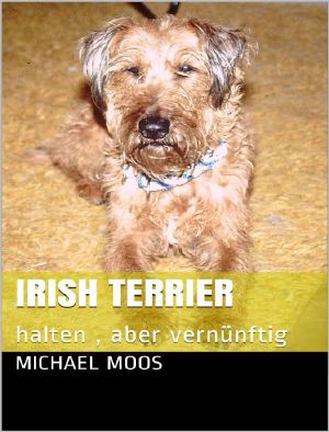 Irish Terrier: halten , aber vernünftig