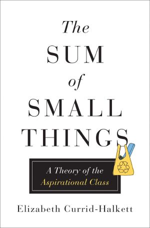 The Sum of Small Things · A Theory of the Aspirational Class