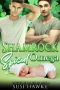 Shamrock Spiced Omega · an M/M Omegaverse Mpreg Romance (The Hollydale Omegas Book 6)