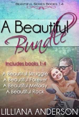 A Beautiful Bundle (Beautiful Series books 1-4)