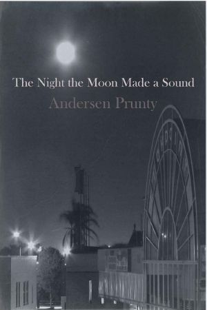 The Night the Moon Made a Sound