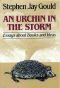 An Urchin in the Storm · Essays About Books and Ideas