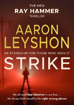 Strike (A Ray Hammer Novel Book 3)