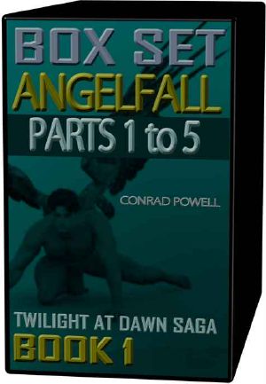 Angelfall · Parts 1 to 5