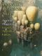 Beneath Ceaseless Skies #168