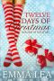 Twelve Days of Christmas · Her Side of the Story
