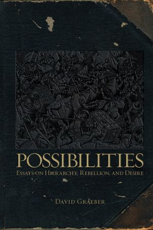 Possibilities · Essays On Hierarchy, Rebellion, and Desire