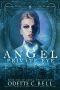 Angel · Private Eye Book One