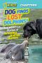 National Geographic · Dog Finds Lost Dolphins