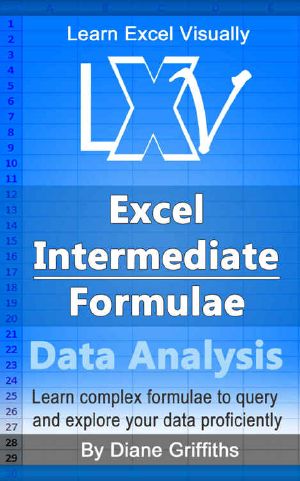 Learn Excel Visually - Excel Intermediate Formulae (Data Analysis) · Learn complex formulae to query and explore your data proficiently (The ‘Learn Excel Visually’ Journey - Excel Formulae Book 3)