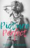 Picture Perfect (Summerville Valley Romance Book 2)