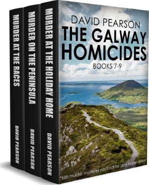 The Galway Homicides Books 7-9 · Irish Murder Mysteries You'll Not Be Able to Put Down