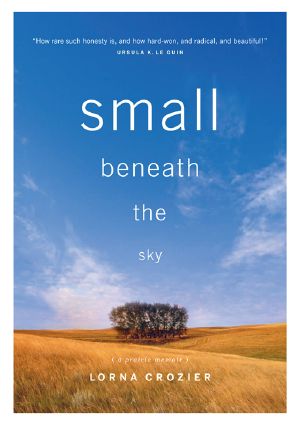 Small Beneath the Sky