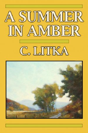 A Summer in Amber