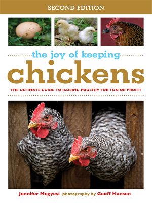 The Joy of Keeping Chickens