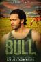 Bull: Rebel Lake: (A steamy, curvy girl, veteran romance)