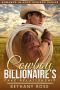 Cowboy Billionaire's Fake Relationship (Romance In Hope Springs Book 1)