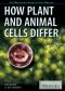 How Plant and Animal Cells Differ