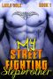 My Street Fighting Stepbrother - Book 1