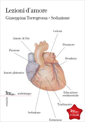 Lezioni D'Amore - Seduzione