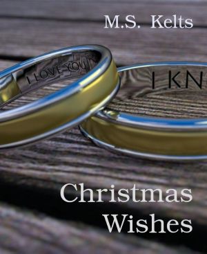 Christmas Wishes: Gay Romance