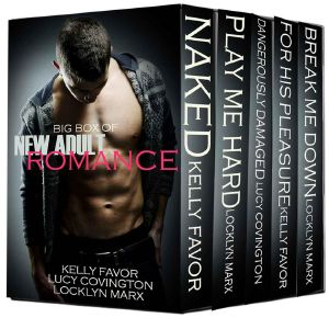 Big Box of New Adult Romance