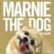 Marnie the Dog