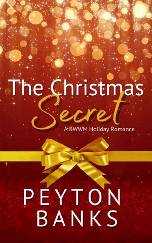 The Christmas Secret · A BWWM Holiday Romance