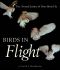 Birds in Flight · the Art and Science of How Birds Fly