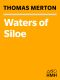 The Waters of Siloe