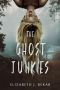 The Ghost Junkies · A Young Adult Paranormal Thriller