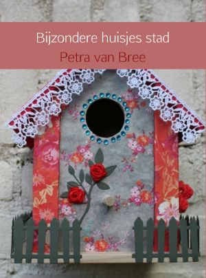 Bijzondere huisjes stad