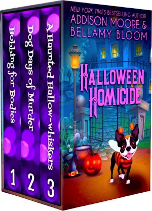 Halloween Homicide · Cozy Mystery · Box Set 1-3