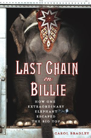 Last Chain on Billie