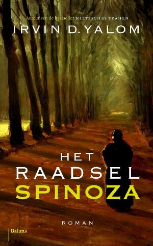 Het raadsel Spinoza