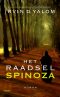 Het raadsel Spinoza