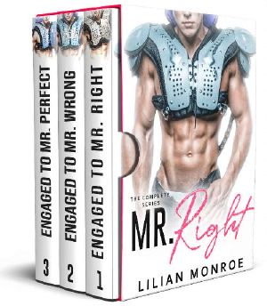 Mr. Right · The Complete Fake Engagement Series